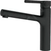 Franke Centro - Miscelatore Da Lavello FP 0098.901 Con Bocca Di Erogazione Estraibile, Nero Opaco 115.0621.592 1 Franke Centro - Miscelatore Da Lavello FP 0098.901 Con Bocca Di Erogazione Estraibile, Nero Opaco 115.0621.592 -Casa Arredamento Negozio a6429b53d3180391d7b357c9